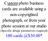 Custom photo business cards are available using a non-copyrighted photograph, or from your photo session at our studio (Specific design parameters required) 100 cards @$30.00*